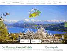 Tablet Screenshot of eichberg.com
